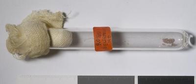 Fig.1. Sample overview (front). Photo by M.Gil 2018 © ICCROM Archives