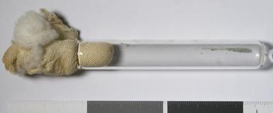 Fig.1. Sample overview (front). Photo by M.Gil 2018 © ICCROM Archives