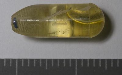Sample overview (front). Photo by M.Gil 2018 © ICCROM Archives