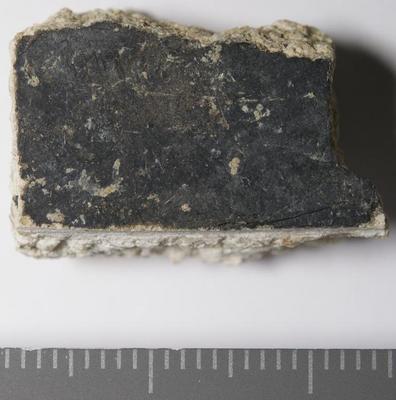 Rome, Palatino: MRA-ITA-Rom083