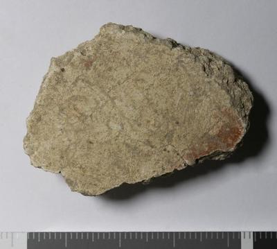 Rome, Palatino: MRA-ITA-Rom102