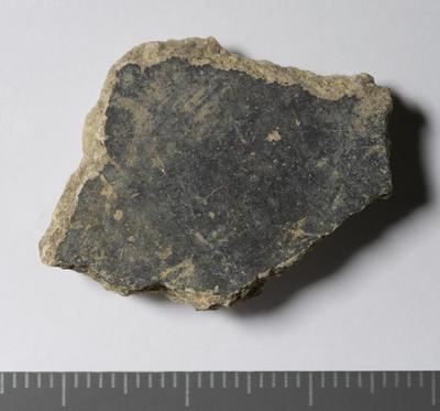Rome, Palatino: MRA-ITA-Rom085