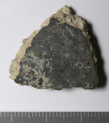 Rome, Palatino: MRA-ITA-Rom084