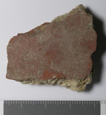 Rome, Palatino: MRA-ITA-Rom106