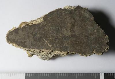 Rome, Palatino: MRA-ITA-Rom132