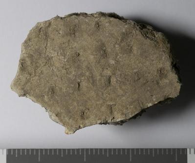 Rome, Palatino: MRA-ITA-Rom133