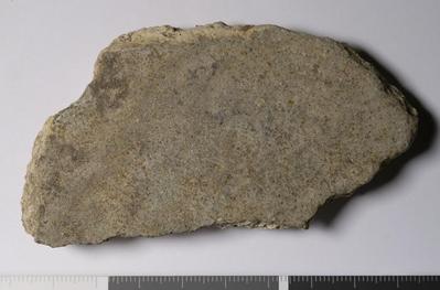 Rome, Palatino: MRA-ITA-Rom147