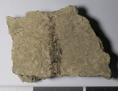 Rome, Palatino: MRA-ITA-Rom148
