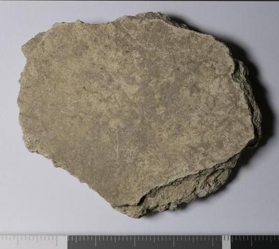 Rome, Palatino: MRA-ITA-Rom145