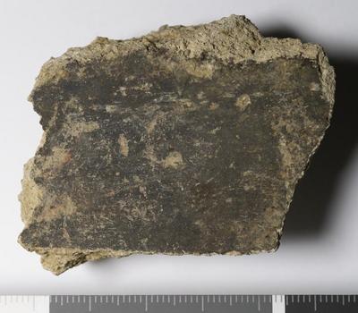 Rome, Palatino: MRA-ITA-Rom151