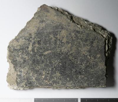 Rome, Palatino: MRA-ITA-Rom125