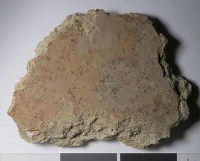 Rome, Palatino: MRA-ITA-Rom123