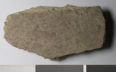Rome, Palatino: MRA-ITA-Rom141