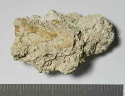 Rome: MRA-ITA-Rom302