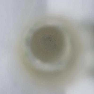 Fig.1. Sample overview (front). Photo by M.Gil 2018 © ICCROM Archives