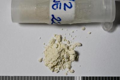 Fig.1. Sample overview (front). Photo by M.Gil 2018 © ICCROM Archives