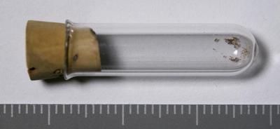 Fig.1. Sample overview (front). Photo by M.Gil 2018 © ICCROM Archives