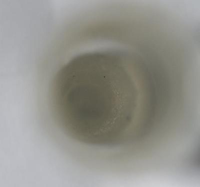 Fig.1. Sample overview (front). Photo by M.Gil 2018 © ICCROM Archives