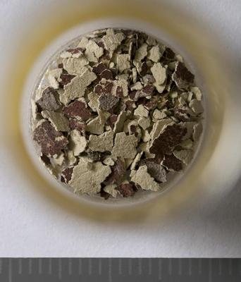 Fig.1. Sample overview (front). Photo by M.Gil 2018 © ICCROM Archives