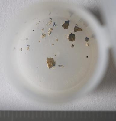 Fig.1. Sample overview (front). Photo by M.Gil 2018 © ICCROM Archives