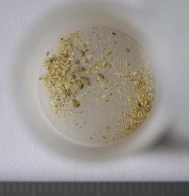 Fig.1. Sample overview (front). Photo by M.Gil 2018 © ICCROM Archives