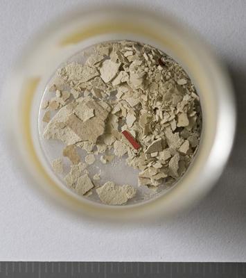 Fig.1. Sample overview (front). Photo by M.Gil 2018 © ICCROM Archives