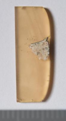 Fig.1. Sample overview (front). Photo by M.Gil 2018 © ICCROM Archives