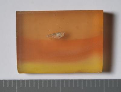 Fig.1. Sample overview (front). Photo by M.Gil 2018 © ICCROM Archives