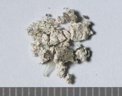 Fig.1. Sample overview (front). Photo by M.Gil 2018 © ICCROM Archives