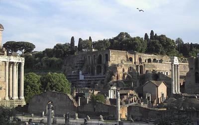 Palatine Hill seen from the Roman Forum (Lalupa [CC BY-SA 3.0 (http://creativecommons.org/licenses/by-sa/3.0/)])  https://commons.wikimedia.org/wiki/File:Palatino_(Palatine_Hill,_Rome).jpg