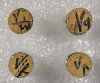 Fig.2. samples overview from the top.photo by MGil2018 (© ICCROM Archives. MRA-ITA-Sie002 is on the top left.