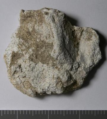 Fig.2: sample overview (reverse)