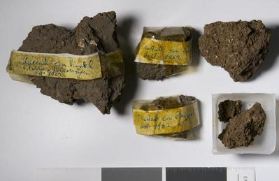Fig.2. Samples overview from Valle Ottara, Cittaducale. Photo by M.Gil2019 © ICCROM Archives
