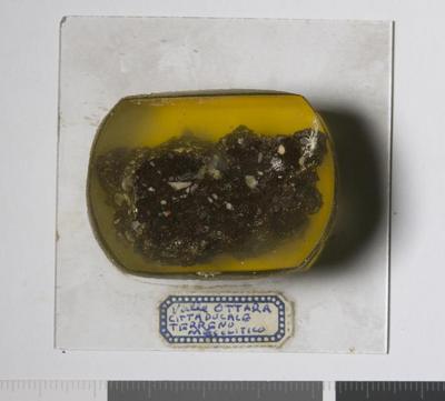 Fig.3. Cross section overview.Photo by M.Gil2019 © ICCROM Archives