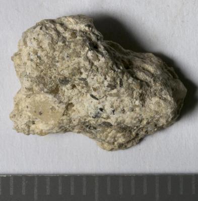 Fig.2. sample overview (reverse). Photo by M.Gil2018 © ICCROM Archives
