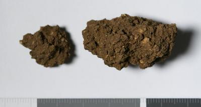 Fig.4. Sample overview (front). Photo by M.Gil2019 (© ICCROM Archives