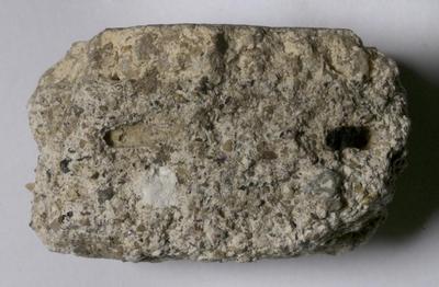 Fig.2. sample profile. Photo by M.Gil2018 © ICCROM Archives