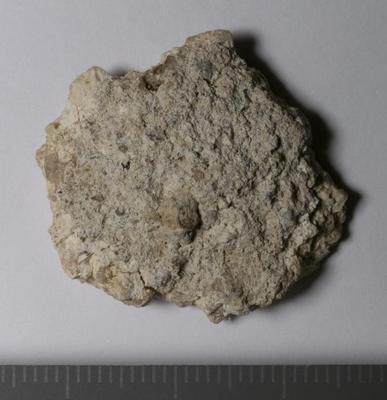 Fig.2. sample overview (reverse). Photo by M.Gil2018 © ICCROM Archives