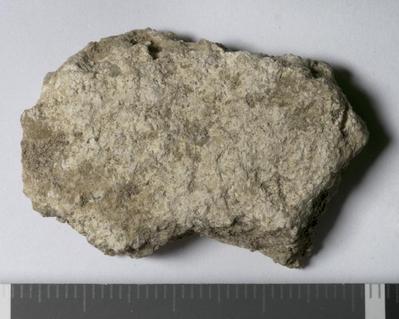 Fig.2. sample overview (reverse). Photo by M.Gil2018 © ICCROM Archives