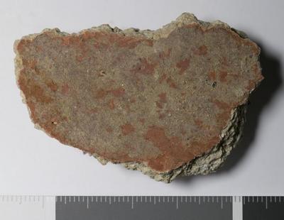 Rome, Palatino: MRA-ITA-Rom112