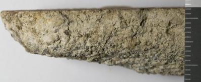 Fig.3. sample profile. Photo by M.Gil2018 © ICCROM Archives