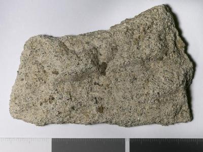 Fig.2. sample overview (reverse). Photo by M.Gil2018 © ICCROM Archives