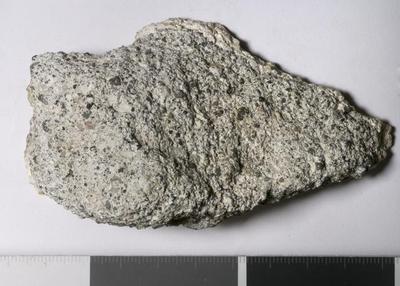 Fig.2. sample overview (reverse). Photo by M.Gil2018 © ICCROM Archives
