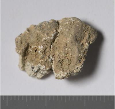 Fig.2. sample overview (reverse). Photo by M.Gil2018 © ICCROM Archives