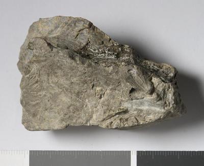 Fig.2. sample overview (reverse). Photo by M.Gil2018 © ICCROM Archives