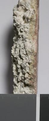 Fig.4. Sample overview (profile). Photo by M.Gil 2018  © ICCROM Archives