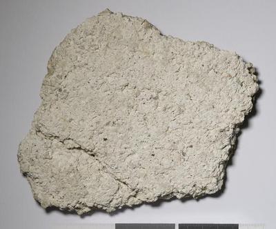 Fig.3. Sample overview (reverse). Photo by M.Gil 2018  © ICCROM Archives