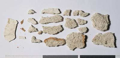 Fig.2. Sample overview (reverse). Photo by M.Gil 2018  © ICCROM Archives