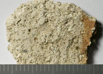 Fig.3. Sample overview (reverse). Photo by M.Gil 2018  © ICCROM Archives