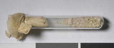 Fig.1. Sample overview (front). Photo by M.Gil 2018  © ICCROM Archives